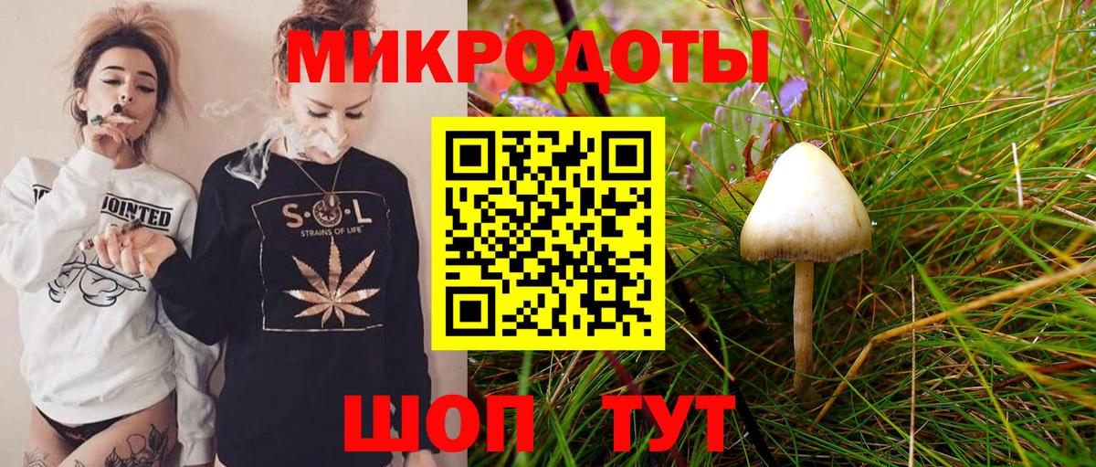 Псилоцибиновые грибы Psilocybine cubensis  Галлюциногенные грибы ЛСД  Урюпинск  Вход с VPN 