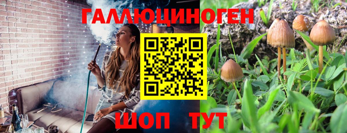 Галлюциногенные грибы ЛСД Урюпинск